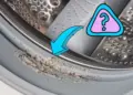 Vetluis in je wasmachine? Dit kun je er meteen tegen doen