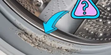 Vetluis in je wasmachine? Dit kun je er meteen tegen doen
