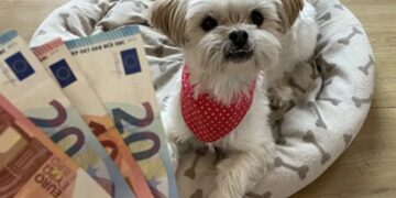 In 90 gemeenten stijgt de hondenbelasting flink: in déze ben je het duurst uit