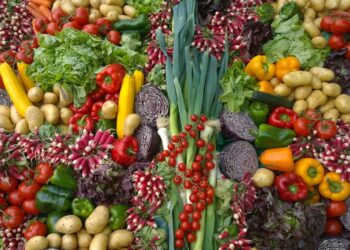 variety of vegetables