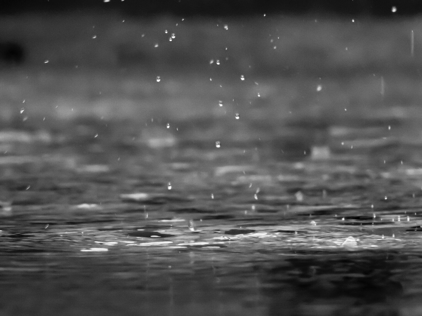 Eerst nog even de regenjas aan, maar dit is wanneer het weer volledig omslaat