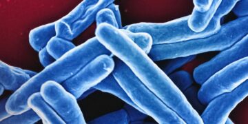 a group of blue and white blood cells