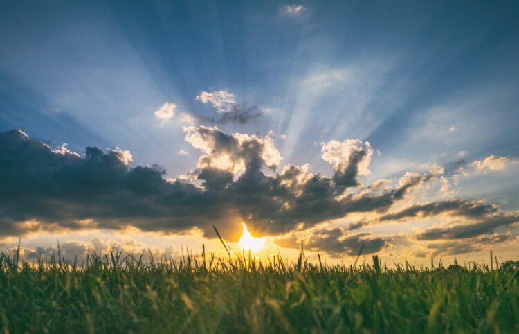 the sun is setting over a field of grass