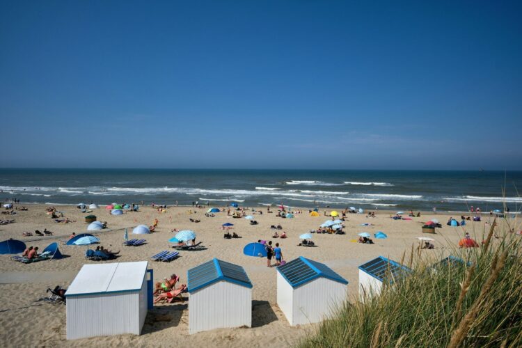 people on beach during daytime