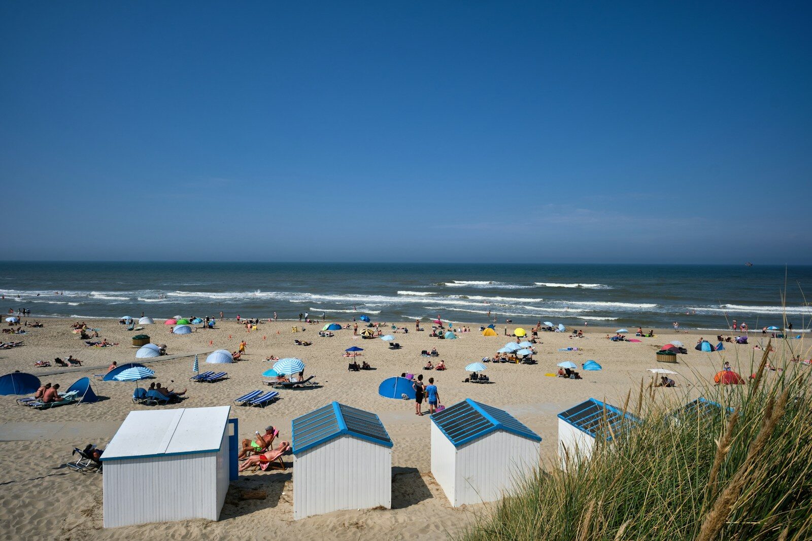 people on beach during daytime