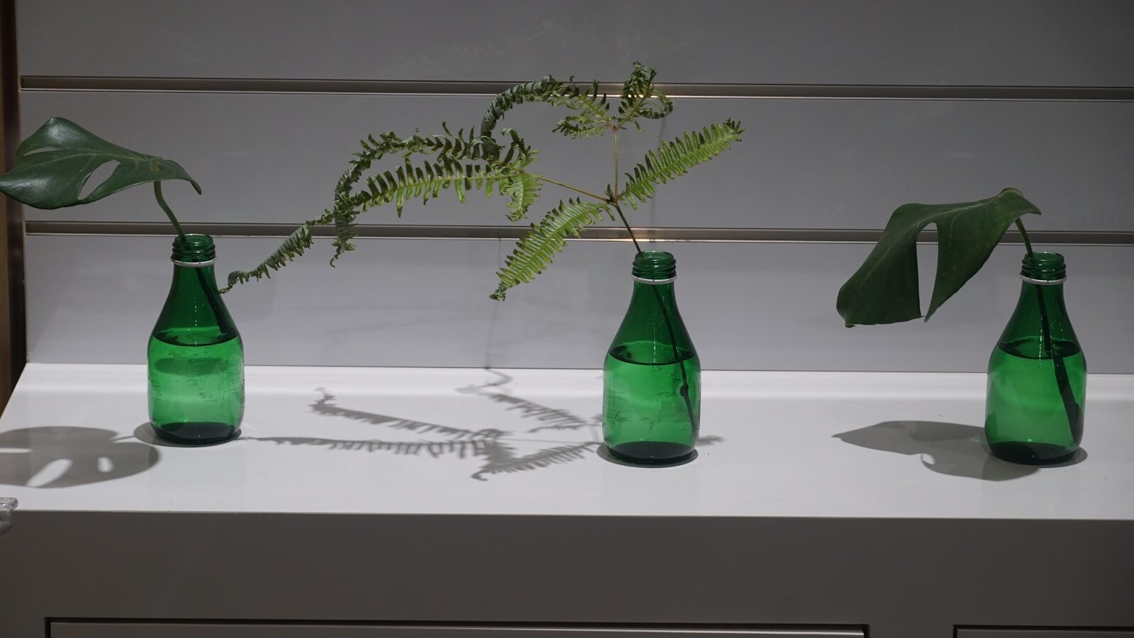 Three green bottles with plant cuttings on shelf.