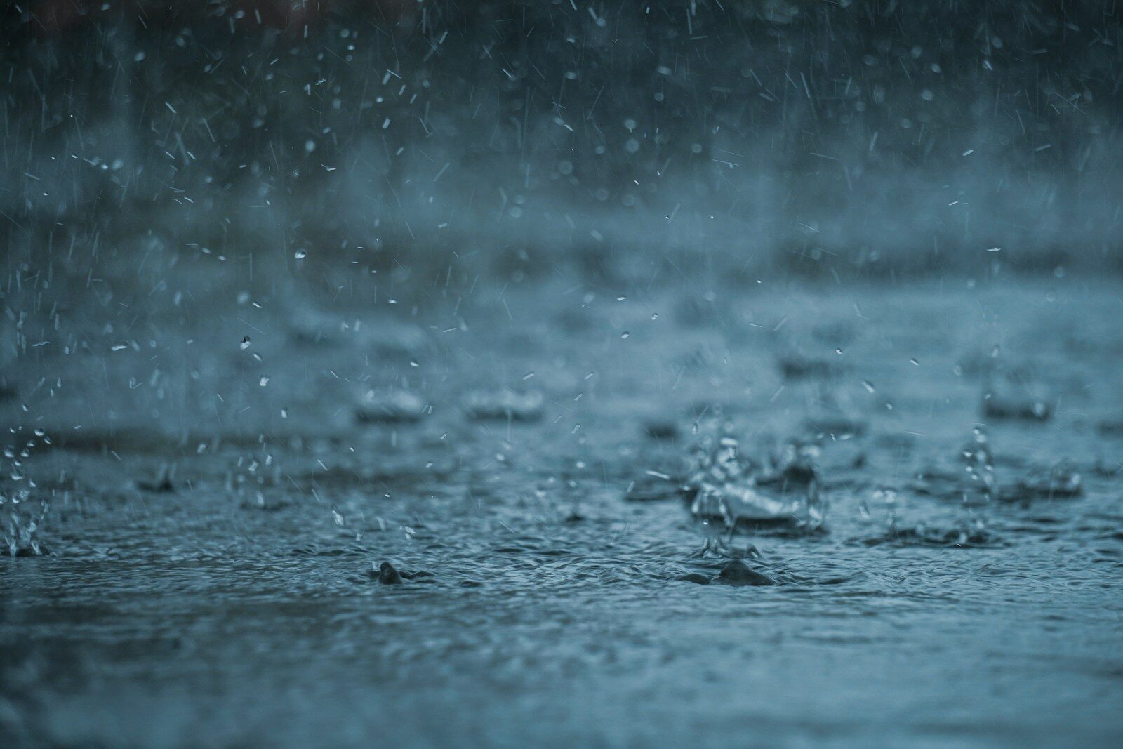 a group of drops of water on the ground
